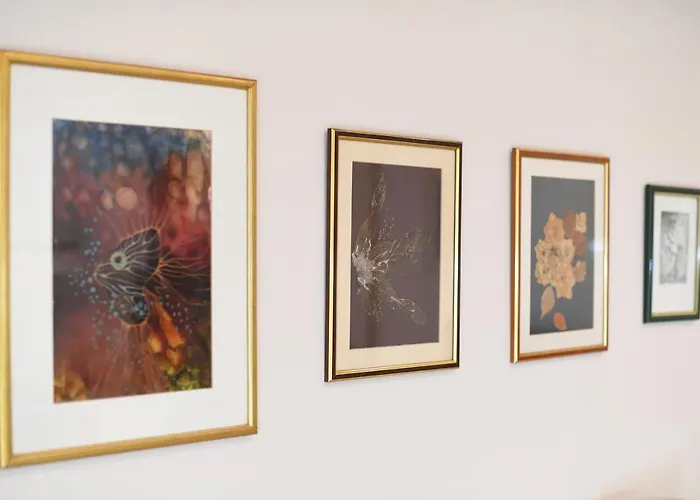 Appartement Freddy *